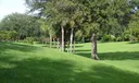 330 Olivewood Pl #217 Photo