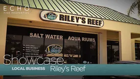 Riley’s Reef Unique Local Business in Jupiter, FL.
