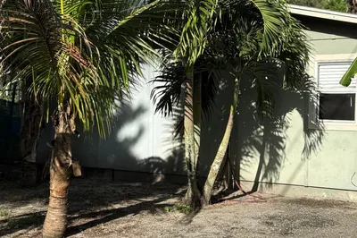 151 Valencia Drive 1
