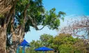 Local Playground