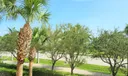 38 Harbour Isle Drive E #204 Photo