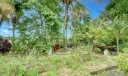 6192 Hammock Park Road Photo