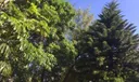 18202 NE 25th Pl #02 Photo