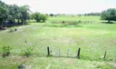Okeechobee Land Photo