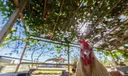 6945 65th Street Photo