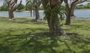 10929 SW 149th Pl 0 Photo