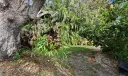 20 Banyan Road Photo