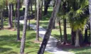133 Brackenwood Road Photo