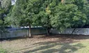 275 E 34th St Photo