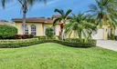 7047 Springville Cove Photo