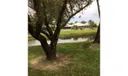2813 SW Lakemont Place Photo