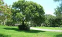 18158 SE Ridgeview Drive Photo