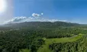 Samana Photo