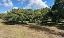 Sw Photo