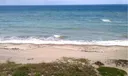 2400 S Ocean Drive #8131 Photo