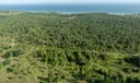 Samana Photo