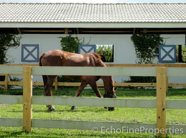 Equestrian Communities in North Palm Beach