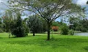 464 Westwood Circle W Photo