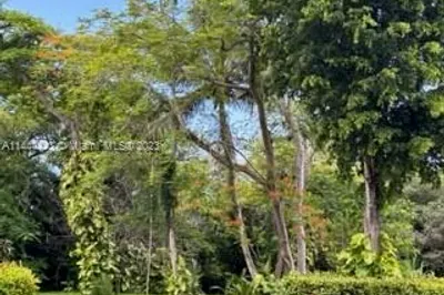 Miami Land 1
