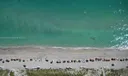 Hallandale Beach Rental Photo