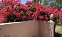 491 NW 188th Ter #491 Photo