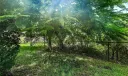 254 SW Walking Path Photo