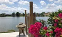 10000 SW 9th Ct Photo