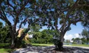 19170 Pinetree Dr Photo