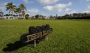 5266 Fisher Island Dr #5266 Photo