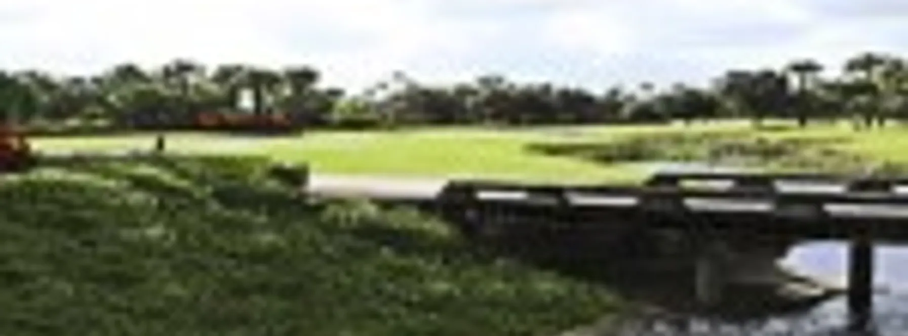 Frenchman’s Creek | Caddy Program | Frenchmans Creek | Jeff Lichtenstein