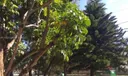 18202 NE 25th Pl #02 Photo