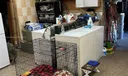 5921 W Hallandale Beach Blvd Photo