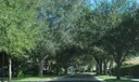123 Lost Bridge Drive Photo