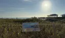 4228 El Mar Dr #504 Photo