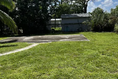 Back Yard 1