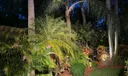 8564 Breezy Oak Way Photo