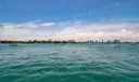 910 West Ave #1206 Photo