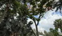 576 SW Rustic Circle Photo