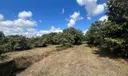 Sw Photo