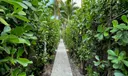 Miami Residential Income Photo