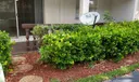 Tamarac Residential Photo