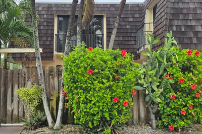 257 Lake Arbor Drive 1
