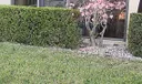 318 Pine Ridge Circle #A-1 Photo