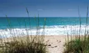 1127 E Seminole Avenue #20a Photo