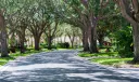 260 Kelsey Park Circle Photo