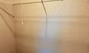 4156 Caesar Circle Photo