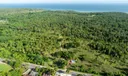 Samana Photo