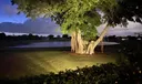 263 Isle Way Photo