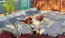 1017 N Victoria Park Rd #3 Photo