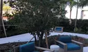 480 NE 31st St #2106 Photo